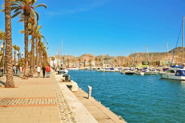 Cartagena palmiye ağaçları ile mesire