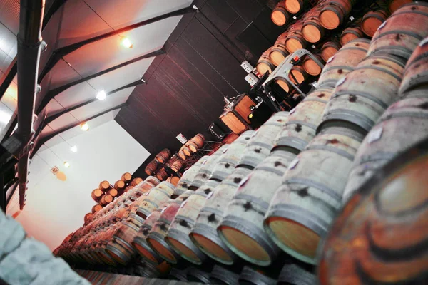 Barris de vinho Adega — Fotografia de Stock