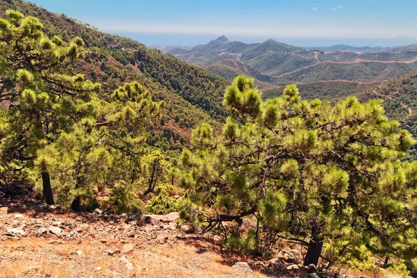 Andalusiska liggande vy — Stockfoto