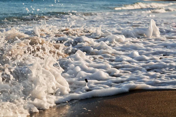 Mousse de mer sur la plage — Photo