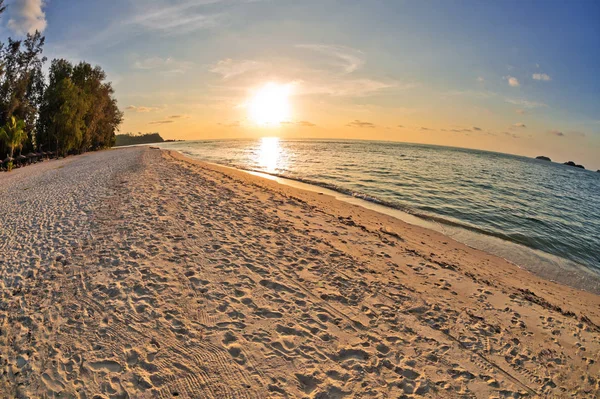 Tropischer Strand bei Sonnenuntergang. — Stockfoto