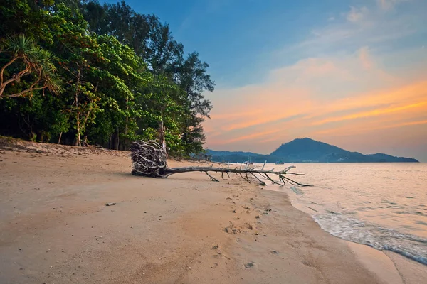 Playa tropical al atardecer. — Foto de Stock