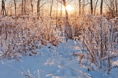güzel kış günbatımı