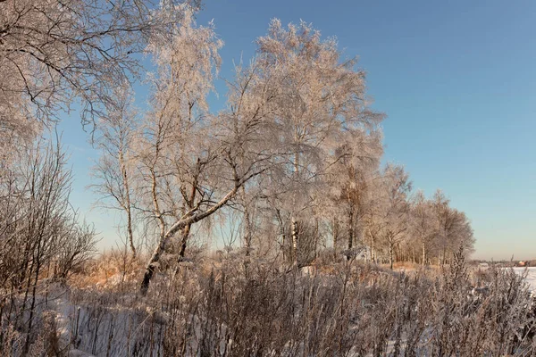 Солнечный зимний пейзаж — стоковое фото