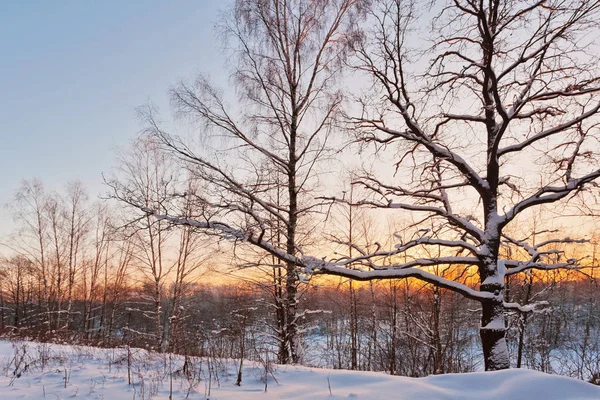 Kaunis talvi auringonlasku — kuvapankkivalokuva