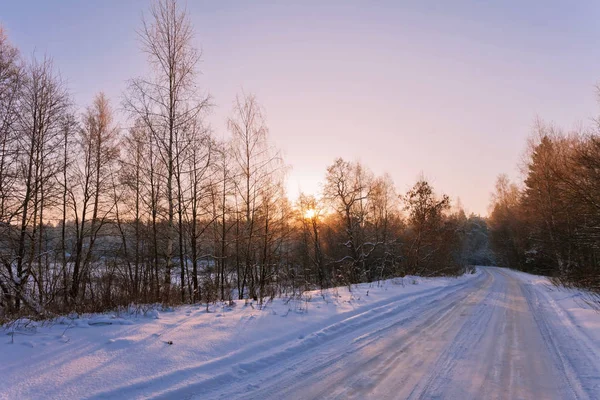 Pôr do sol floresta inverno — Fotografia de Stock