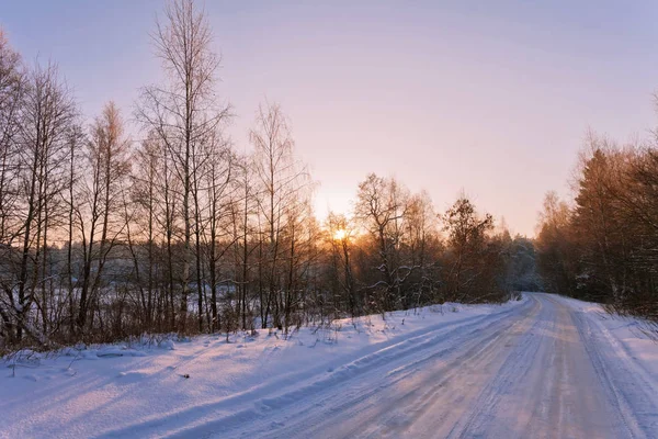 Atardecer invierno bosque —  Fotos de Stock