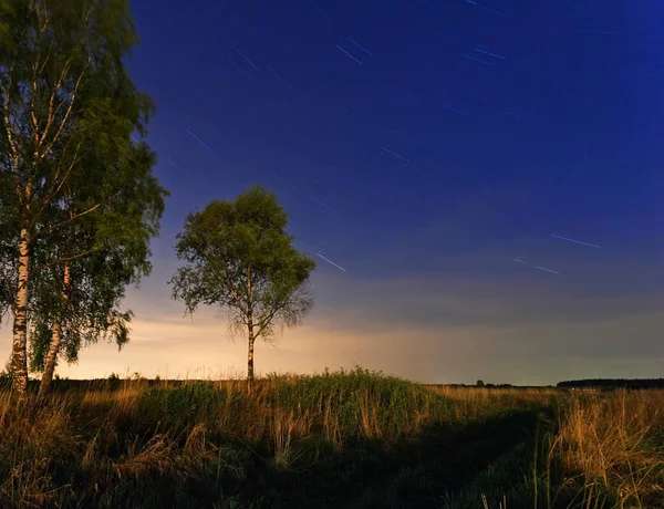 Zomer nachtelijke landschap — Stockfoto