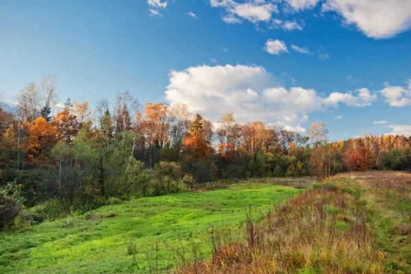 Zonnige herfst veld — Stockfoto