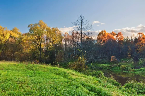 Sonniges Herbstfeld — Stockfoto