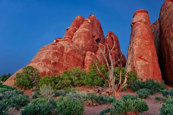 Abend im Arches Nationalpark — Stockfoto