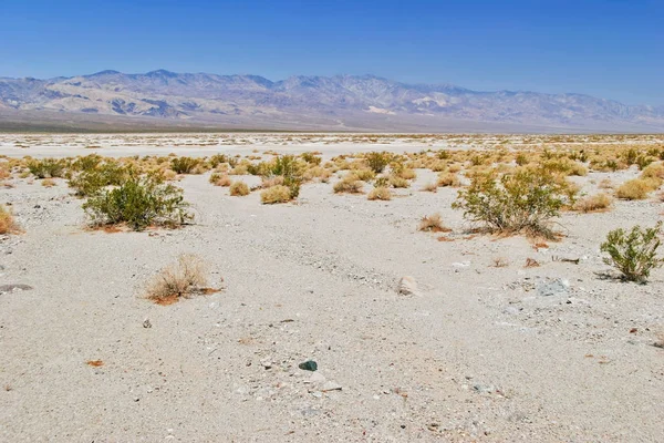 Paisagem sem vida do Vale da Morte — Fotografia de Stock