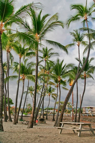 Playa en la isla grande en tiempo tormentoso — Foto de Stock