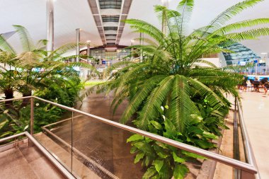 Havaalanında soyut pencere