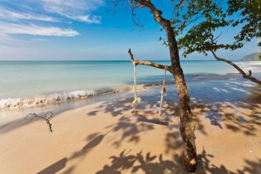 değişim ve hurma kum tropikal plaj.