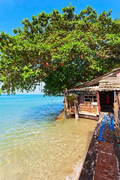 Exotischer tropischer Strand. — Stockfoto