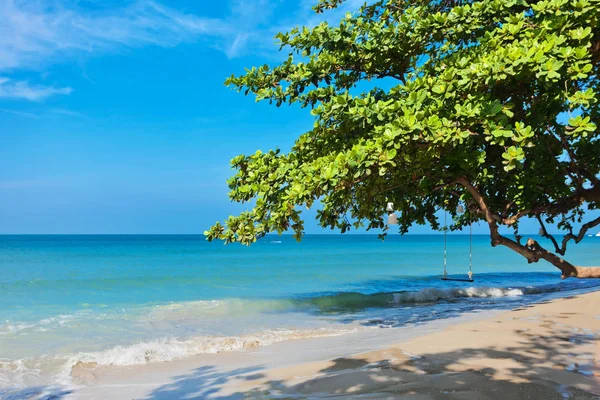 Egzotik tropikal plaj.