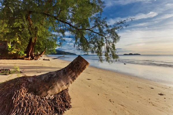 Praia tropical ao pôr do sol. — Fotografia de Stock