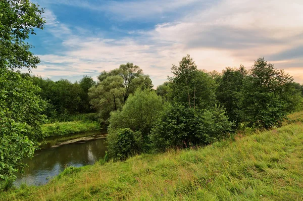 Říčka v poli — Stock fotografie