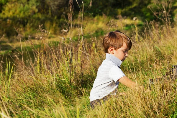 Boy in the sunny summer — Stock Photo, Image