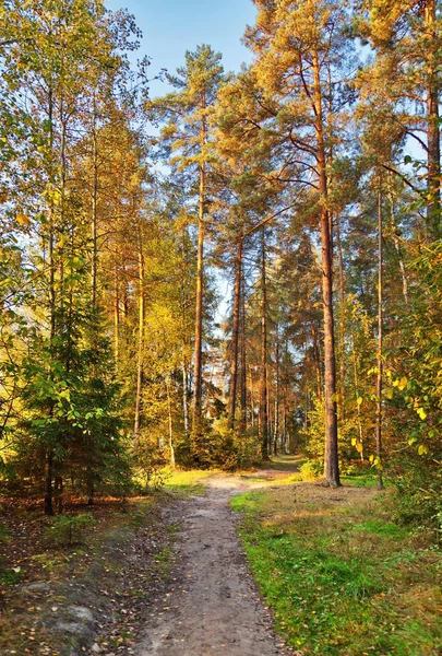 Ścieżka w parku jesiennym — Zdjęcie stockowe