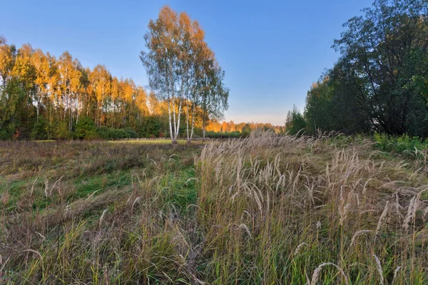 Soliga höstlig fältet — Stockfoto