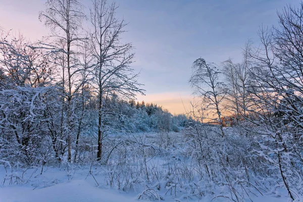 Schöner Wintersonnenuntergang — Stockfoto