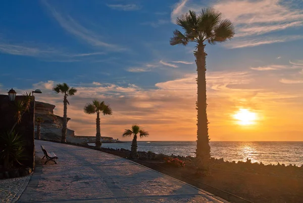 Pavimento in pietra con palme lungo il mare al tramonto — Foto Stock