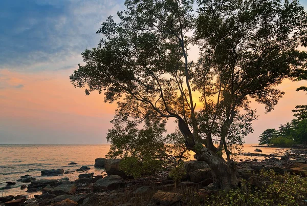 Tropische zonsondergang landschap — Stockfoto