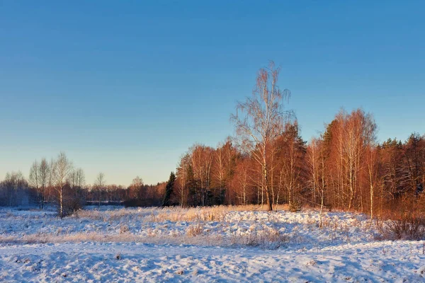 Campo invernale sotto — Foto Stock