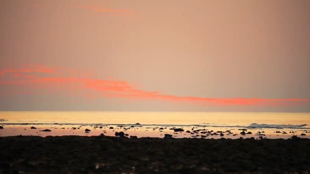 Plage tropicale au coucher du soleil. — Video