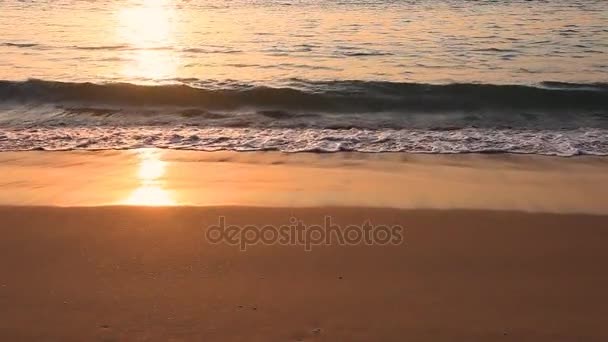 Тропический пляж на закате. — стоковое видео
