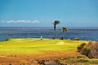 Bir golf sahası palmiye ağaçları ile güzel manzara