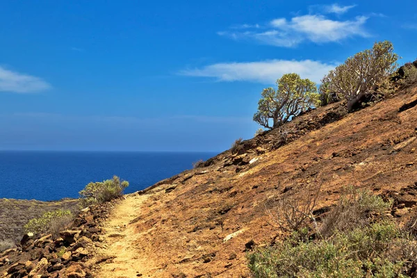 Teneriffa-Landschaft — Stockfoto