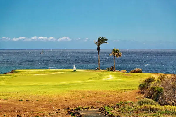 Prachtige landschap van een golfbaan met palmbomen — Stockfoto