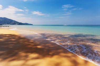 Egzotik tropik deniz