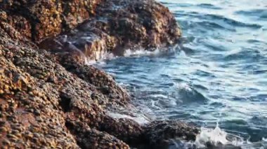 Deniz dalgaları kıyı taşlarında kırılıyor.