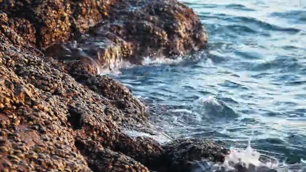 Onde Marine Che Infrangono Sulle Pietre Della Costa — Video Stock