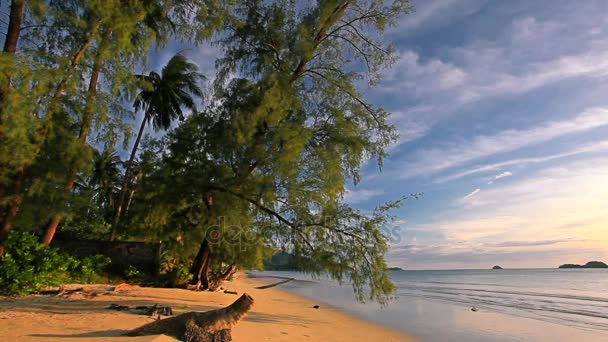 Playa Tropical Atardecer Fondo Naturaleza — Vídeo de stock