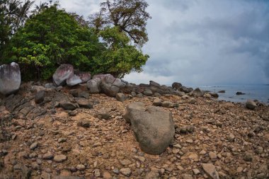 karanlık gökyüzü altında tropik sahil