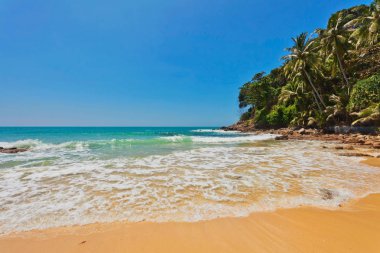 Egzotik tropikal plaj.