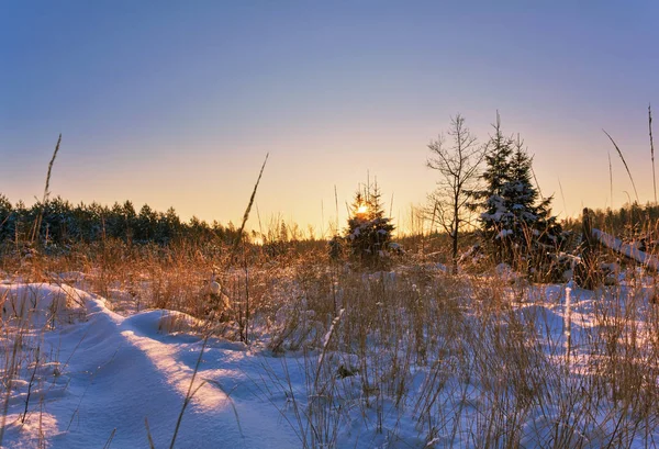 Beau coucher de soleil d'hiver — Photo