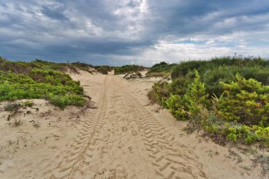 Dunes kasvetli gökyüzü altında yol