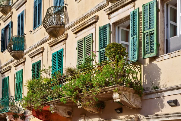 Vecchie finestre e balconi in vecchio muro di pietra con piante — Foto Stock