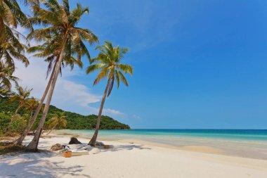 Egzotik tropikal plaj.