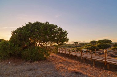 Ahşap yolu günbatımı zaman içinde deniz kenarında. Mijas Costa. Andalusia. İspanya