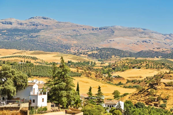 Visa Dalen Med Byggnader Nära Staden Ronda Spanien — Stockfoto