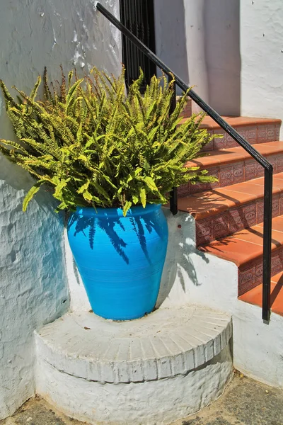 Fern in a blue pot near the stairs