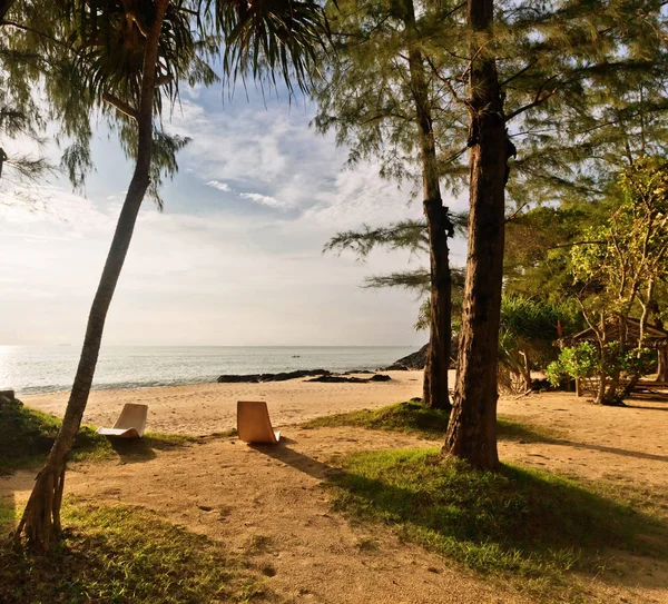 Tropische park in de buurt van het strand — Stockfoto