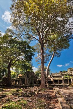 Antik khmer Budist tapınağı angkor wat kompleksi içinde